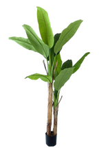 NEVERLEAFS BANANENPLANT KUNSTPLANT 160 CM