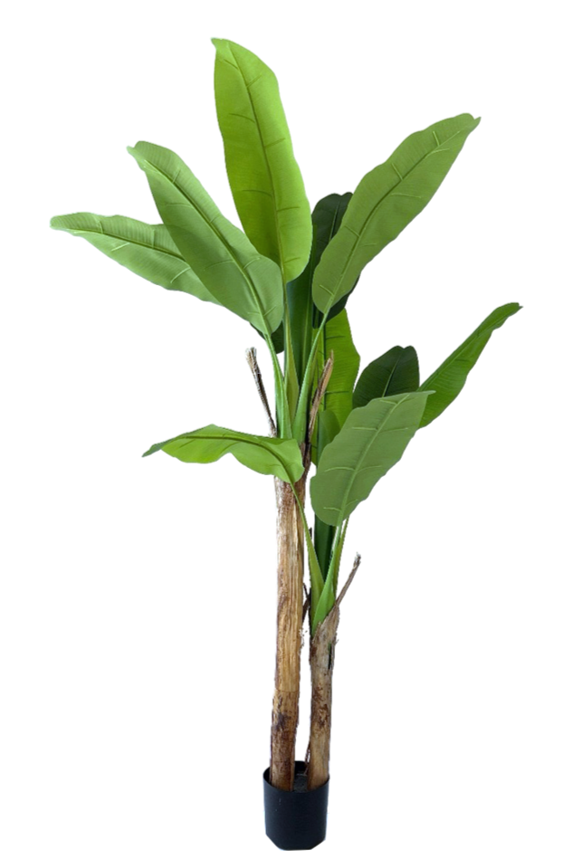 NEVERLEAFS BANANENPLANT KUNSTPLANT 160 CM