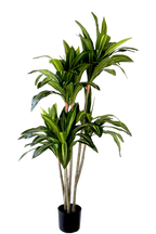 NEVERLEAFS KUNSTPLANT DRACAENA FRAGRANS 150 CM