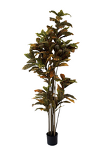 NEVERLEAFS FICUS DELUXE KUNSTPLANT 180 CM