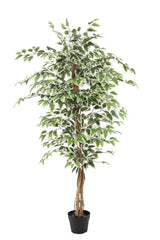 NEVERLEAFS KUNSTPLANT FICUS GROEN 160 CM