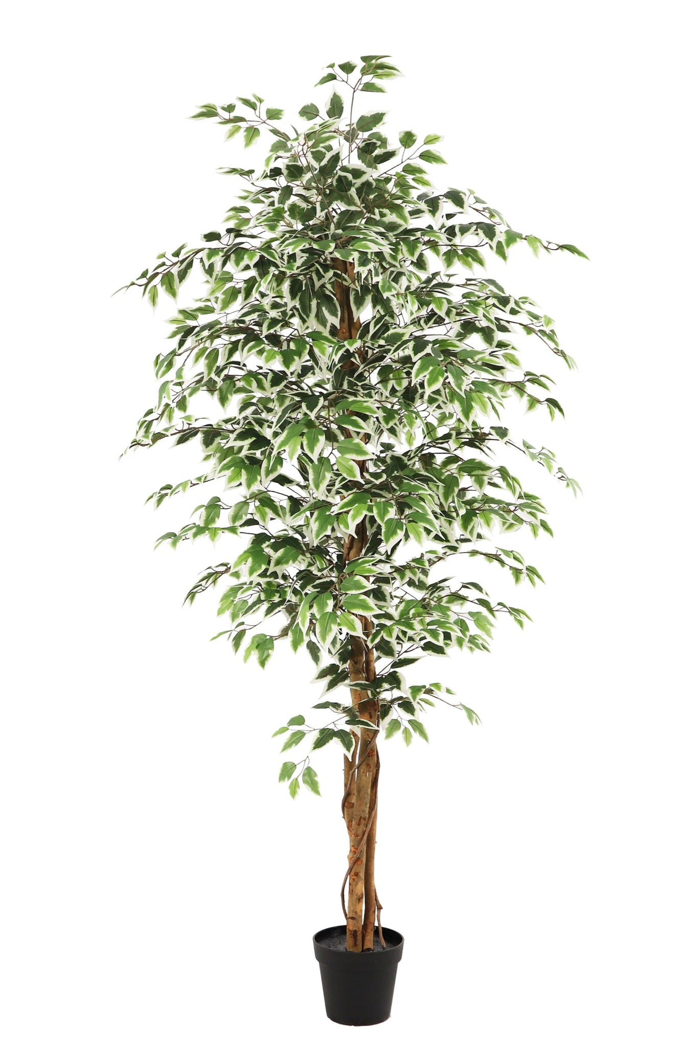 NEVERLEAFS KUNSTPLANT FICUS GROEN 180 CM