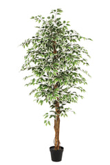 NEVERLEAFS KUNSTPLANT FICUS GROEN 180 CM