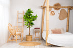NEVERLEAFS FIDDLE LEAF FIG KUNSTPLANT VIOOLBLADPLANT 160 CM