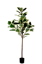 NEVERLEAFS KUNSTPLANT FICUS LYRATA DELUXE 160 CM