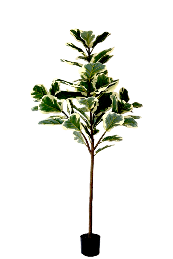 NEVERLEAFS KUNSTPLANT FICUS LYRATA DELUXE 160 CM