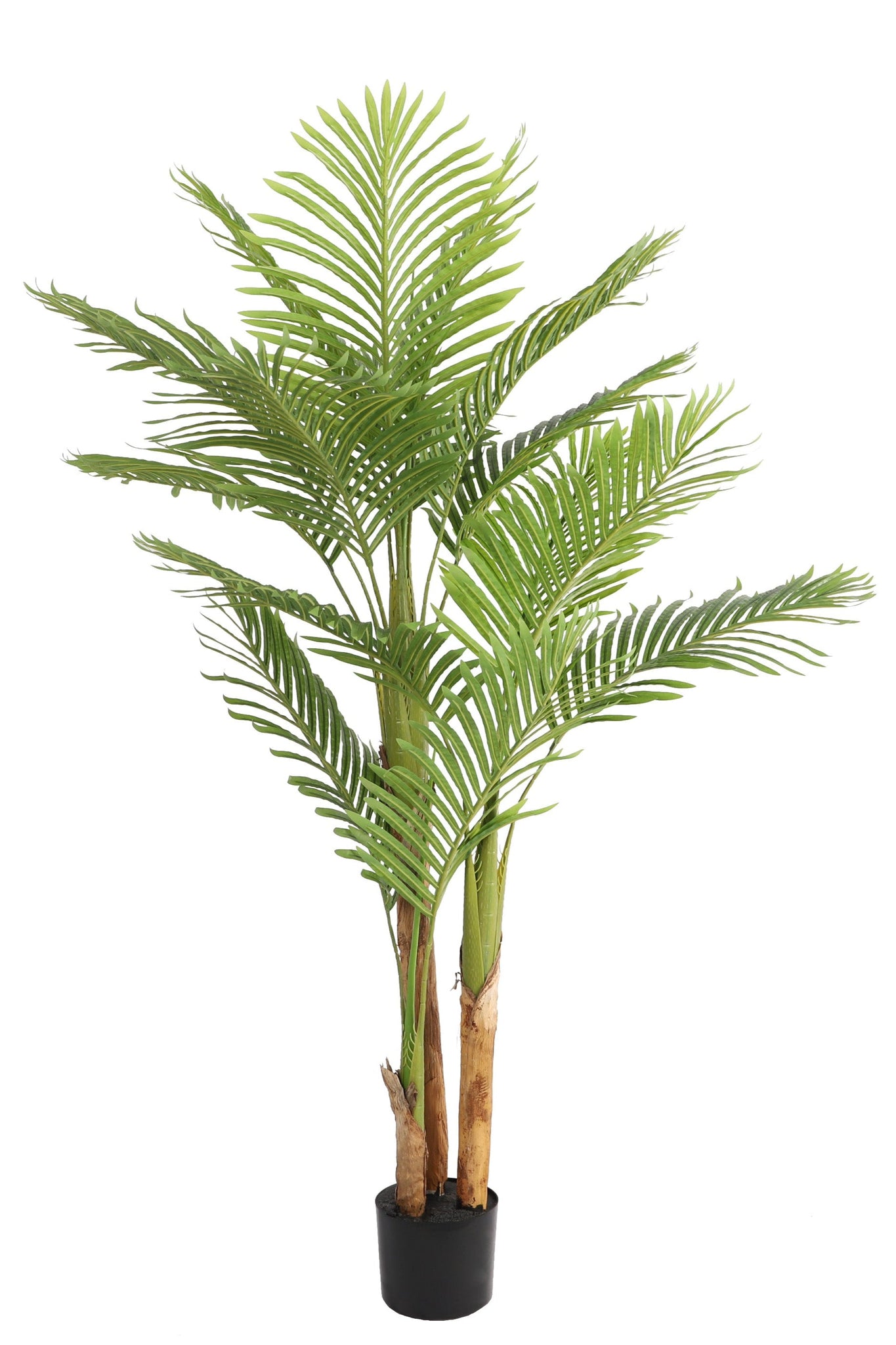 NEVERLEAFS KENTIA PALM KUNSTPLANT 170 CM TROPISCH