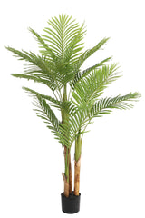 NEVERLEAFS KENTIA PALM KUNSTPLANT 170 CM TROPISCH