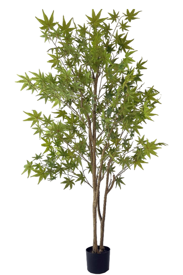 NEVERLEAFS KUNSTPLANT GROENE ESDOORN 180 CM