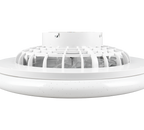 REALITY PLAFONDVENTILATOR STRALSUND LED TITAAN 49 CM