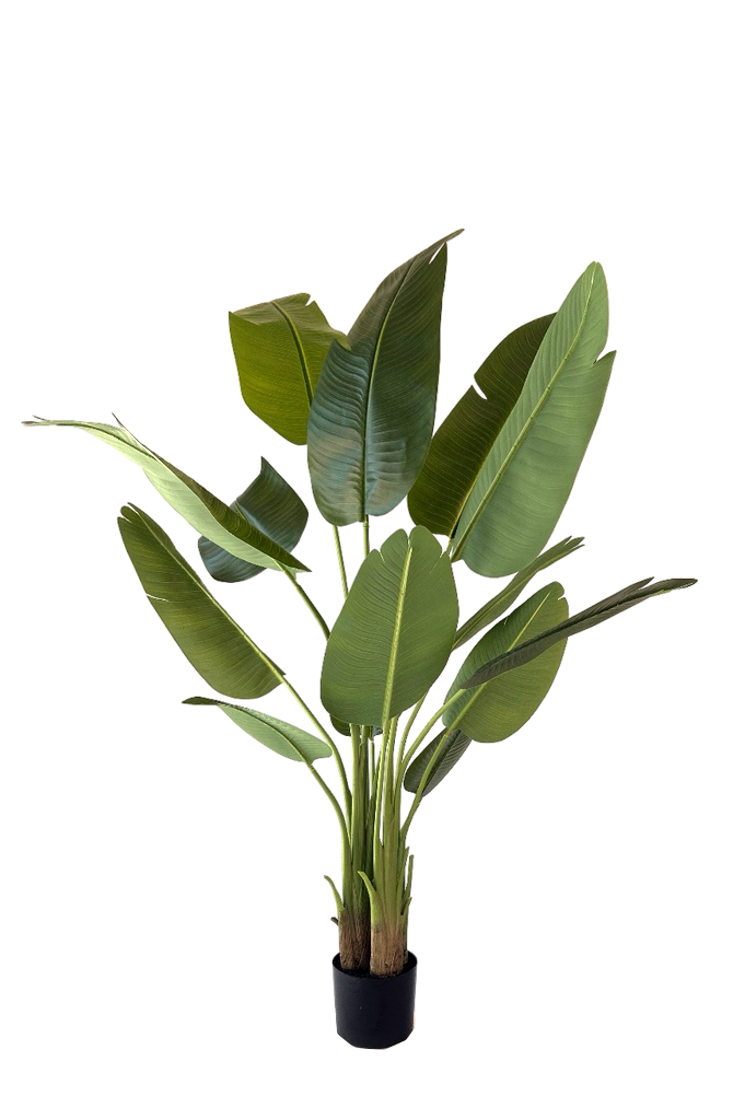 NEVERLEAFS STRELITZIA KUNSTPLANT 150 CM REAL TOUCH