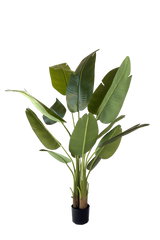 NEVERLEAFS STRELITZIA KUNSTPLANT 150 CM REAL TOUCH