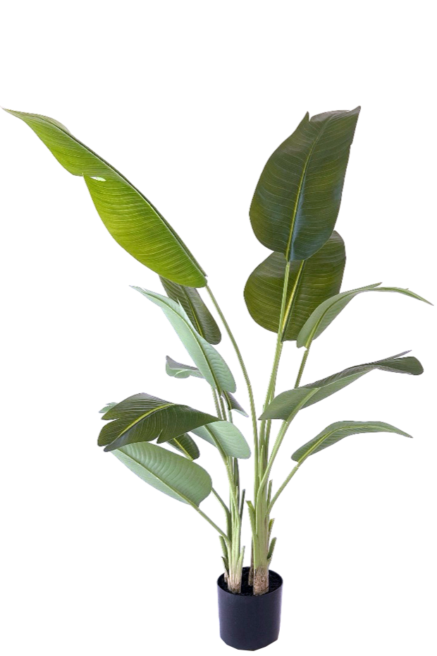 NEVERLEAFS KUNSTPLANT STRELITZIA 200 CM REAL TOUCH