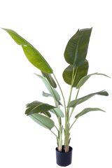 NEVERLEAFS KUNSTPLANT STRELITZIA 200 CM REAL TOUCH