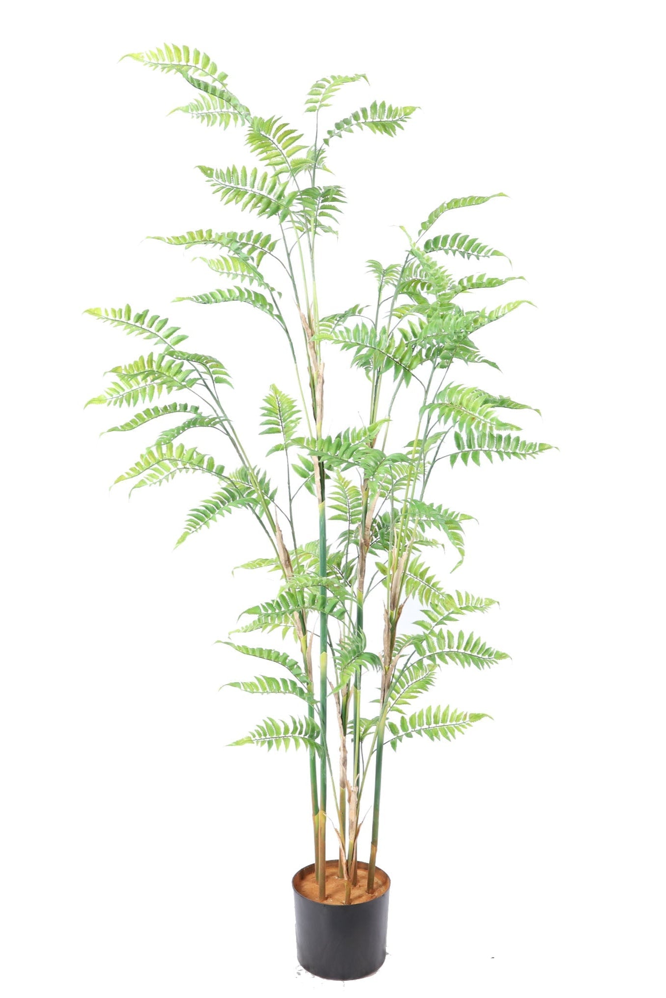 NEVERLEAFS KUNSTPLANT VAREN 160 CM TROPISCH