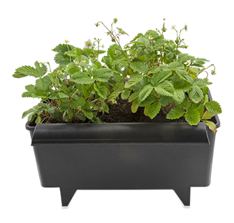  AARDBEIENBAK 11 LITER 40.2 X 32.3 X 22.6 CM