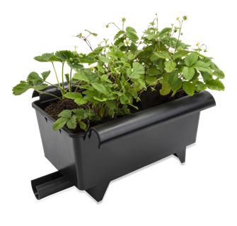  AARDBEIENBAK 11 LITER 40.2 X 32.3 X 22.6 CM