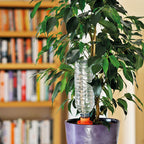  AQUASOLO 3+1 SET S ORANJE VOOR POTTEN TOT Ø25CM