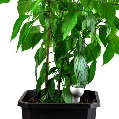 BESCHERMKAP VOOR BLUMAT DIGITAL TENSIOMETER