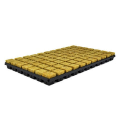 SBS STEKPLAAT 77 3.5X3.5X4CM PER TRAY