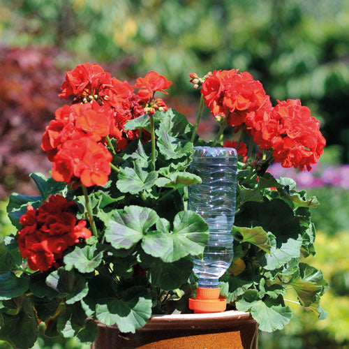  AQUASOLO 3+1 SET S ORANJE VOOR POTTEN TOT Ø25CM