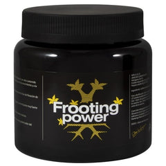 FROOTING POWER 325 GRAM