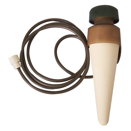  KAMERPLANT XL VOOR POTTEN V/A 15 CM