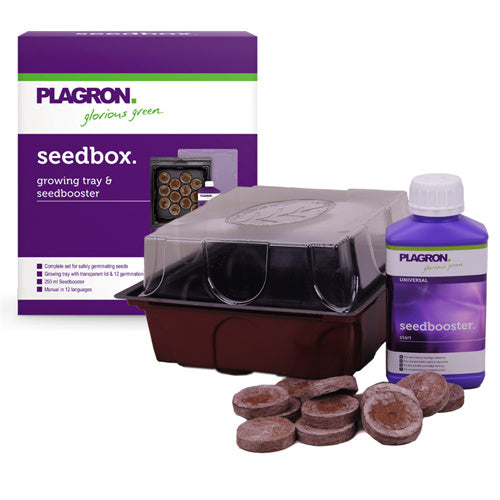  SEEDBOX