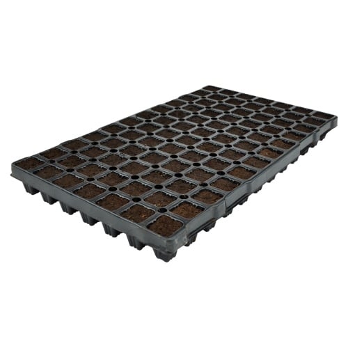 X-PLUG LIJMPLUGGEN 84 PER TRAY PER DOOS (6 TRAYS = 504 STUKS)
