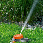 CLASSIC MULTI 6-SPROEIER BOOGIE 80M²