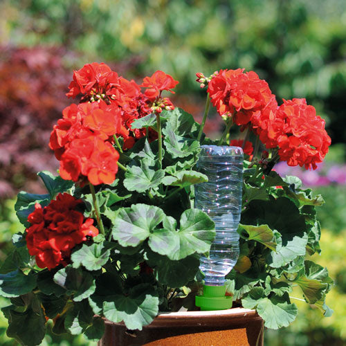 AQUASOLO 3+1 SET M GROEN VOOR POTTEN Ø30 - 40CM