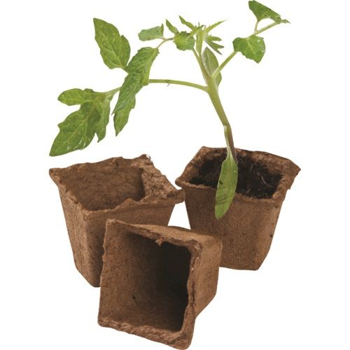 VEZEL POT VIERKANT 6 X 6 X 6 CM VERPAKT PER 20