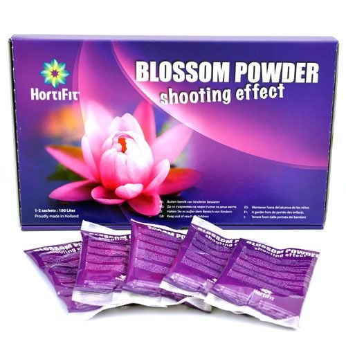 BLOSSOM POWDER DOOS 6 ZAKJES À 100 GRAM