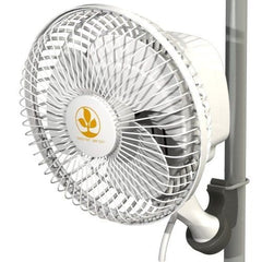 MONKEY FAN 15 CM (6") - 16W