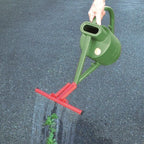  SPROEIBOOM VOOR GIETER 50 CM