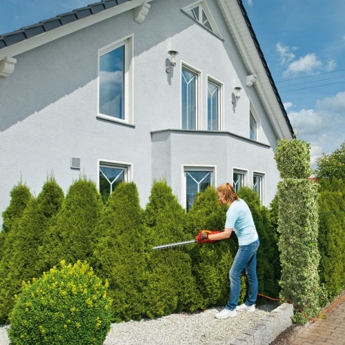  HS 50 E HEGGENSCHAAR