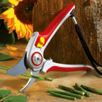  RR5000 PROFESSIONELE SNOEISCHAAR