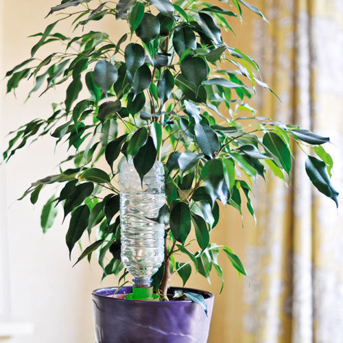 AQUASOLO 3+1 SET M GROEN VOOR POTTEN Ø30 - 40CM