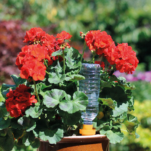 AQUASOLO 3+1 SET L GEEL VOOR POTTEN Ø45 - 60CM