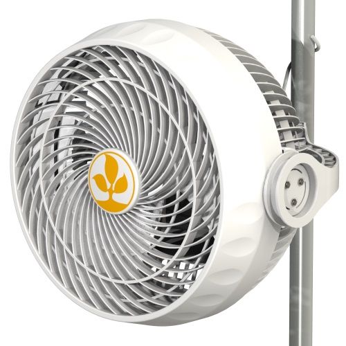 MONKEY FAN 18 CM (7") - 30W