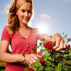 RR4000 SNOEISCHAAR PREMIUM PLUS