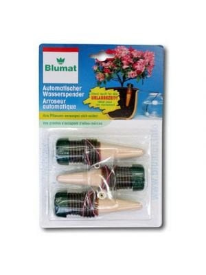 KAMERPLANT (3 STUKS)