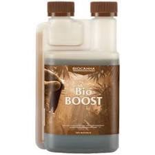 BIOCANNA BIO BOOST 250 ML
