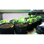 AQUA BREATHE FABRIC POT 2 LITER 12 X 12 X 14 CM