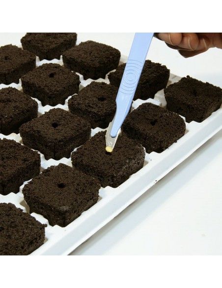 ROOT RIOT REFILL BAG 50 CUBES