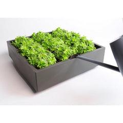 greenwall verticale tuin grijs