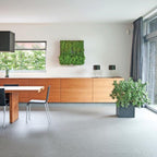 greenwall verticale tuin grijs