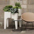  XL Designpot