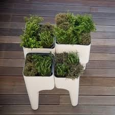  XL Designpot