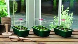 GARLAND MINI HIGH DOME PROPAGATOR (SET VAN 3) 17X10X12.5CM